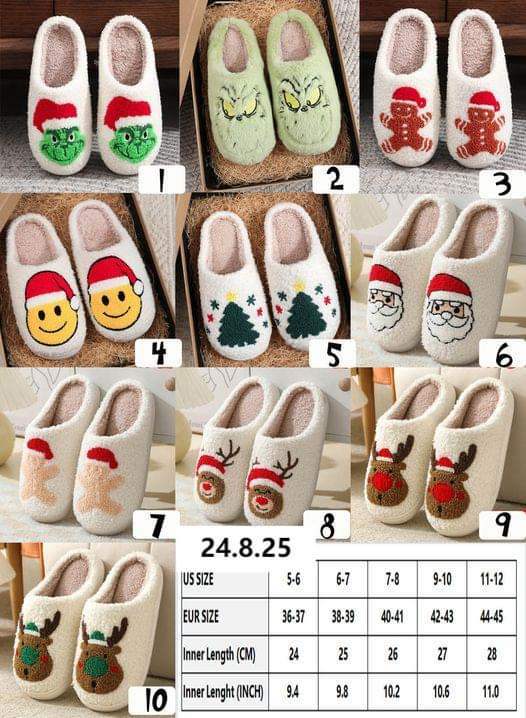 Holiday Slippers π