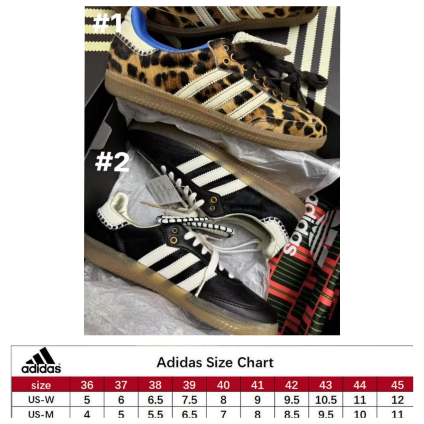Adi W-B  Sambas